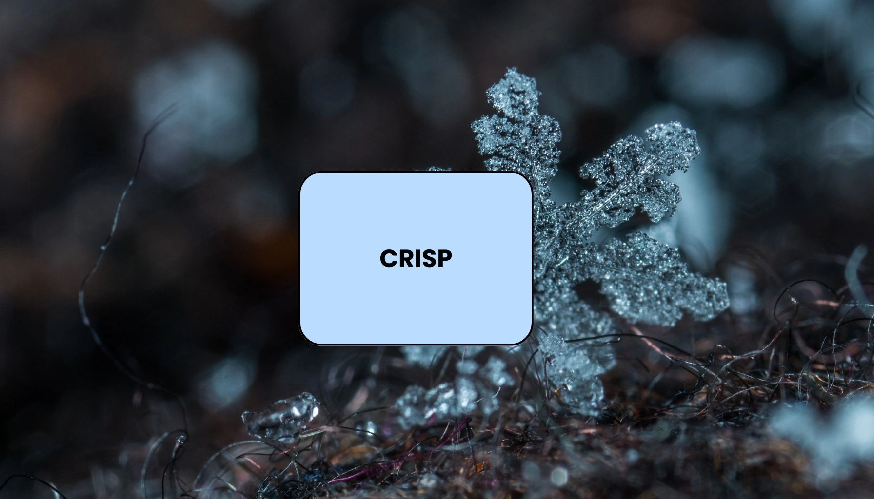 Crisp Fragrance section - Fragrance Finder - Edge By Piazza