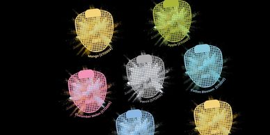 Fragrance Finder - Double Edge Urinal Screens - Edge By Piazza