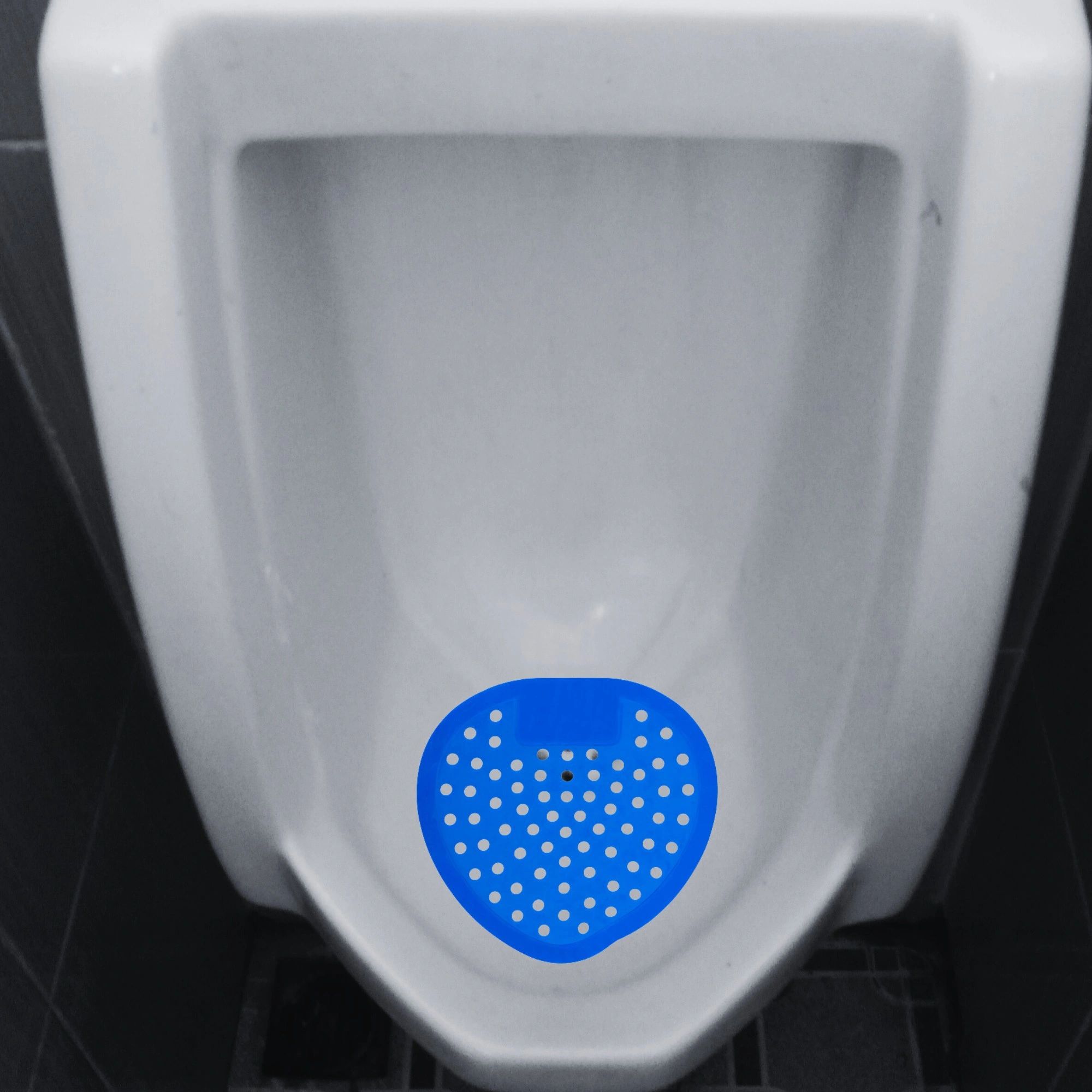 EDGE CLASSIC URINAL SCREEN in urinal