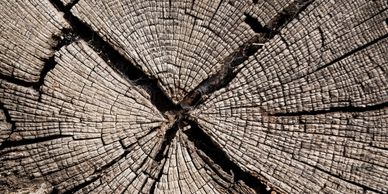 Fragrance Finder - Fragrance Description - Edge By Piazza - Pacco