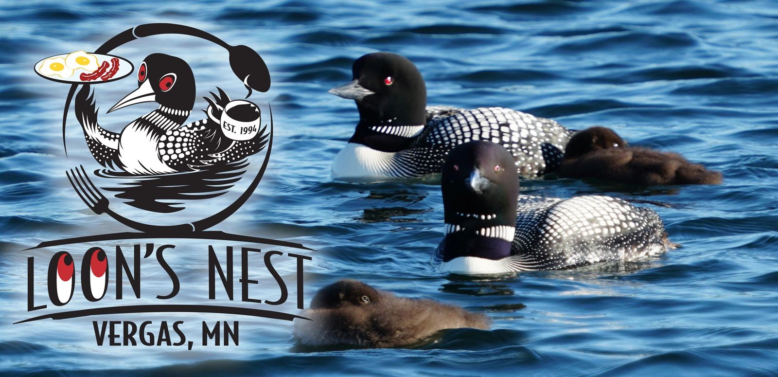 Two adult loons and two chicks swimming in clear water with a Loon's Nest logo overlay.