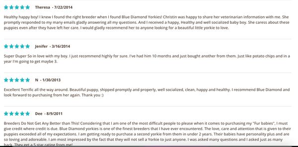 BLUE DIAMOND YORKIES REVIEWS
BLUE DIAMOND YORKIES REVIEWS
BLUE DIAMOND YORKIES REVIEWS
BLUE DIAMOND