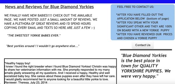 BLUE DIAMOND YORKIES REVIEWS
BLUE DIAMOND YORKIES REVIEWS
BLUE DIAMOND YORKIES REVIEWS
BLUE DIAMOND