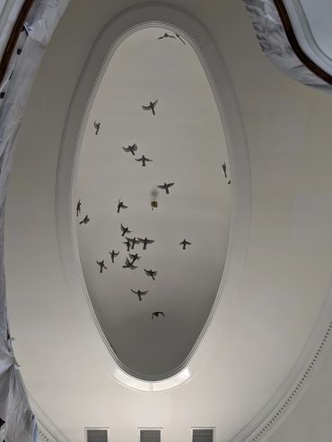 Ceiling mural of a flock of birds