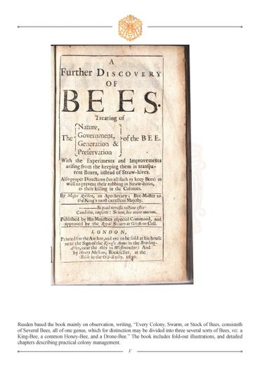 The Beekeeper's Dictionary