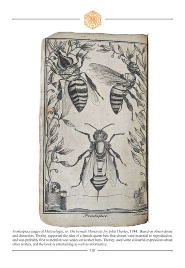 The Beekeeper's Dictionary