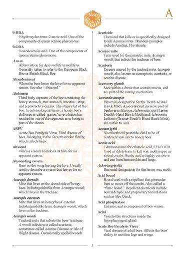 The Beekeeper's Dictionary