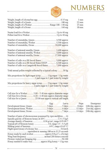 The Beekeeper's Dictionary
