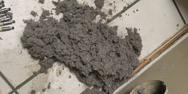 Picture of lint following brush cleaning.
