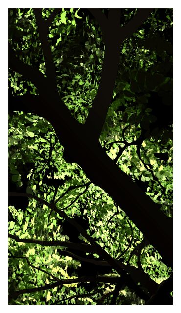 Backlit contrast monochromatic leafy green trees. Dark silhouetted trunks and branches.
