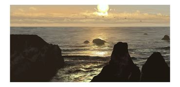 Rocky coast ocean scene sunsetting golden hour. Sunlit shimmering waves and pelicans flying above.