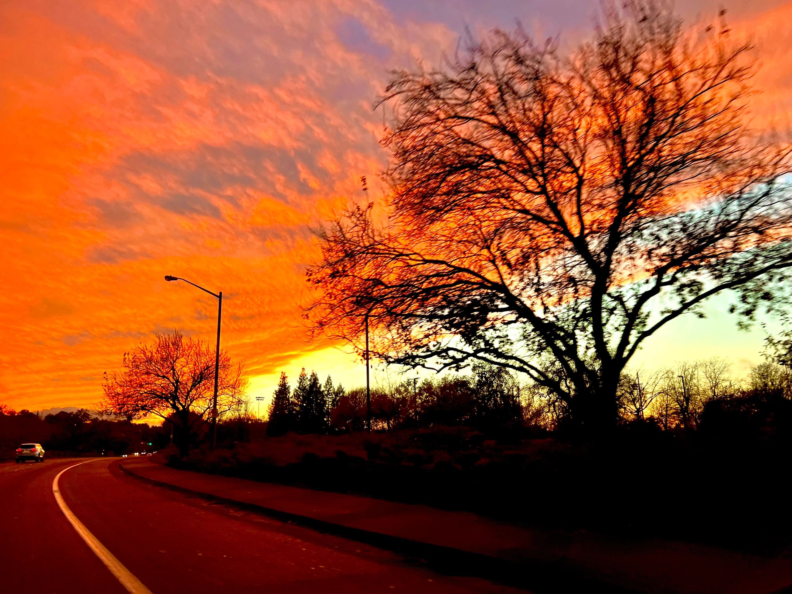 Sunset with roadway and trees located next to Twin Oaks Park on Park Dr in Rocklin, Ca.