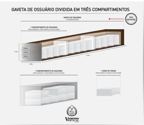 Diagram of an ossuary drawer divided into three compartments for storing remains.