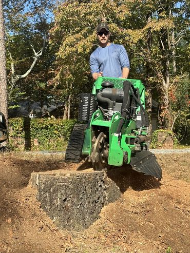 stump grinding, tree removal