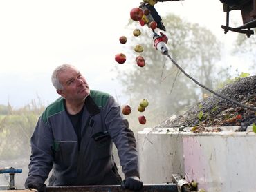 Cranborne Chase Cider produce facility apples fall at Rustic Stays glamping holidays shepherds huts