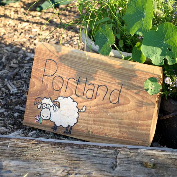 Portland shepherd hut glamping holiday sign at Rustic Stays Dorset