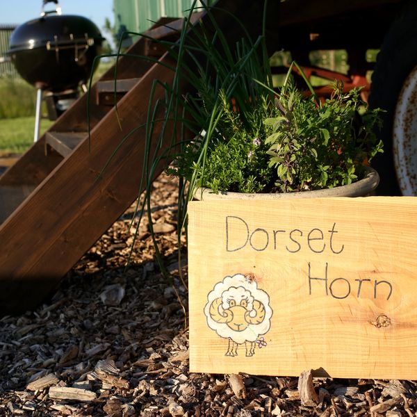 Dorset Horn hut sign for glamping holidays shepherds huts in the Dorset countryside at Rustic Stays