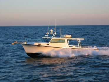 Charter Fishing with Captain Billy's Charters On Site