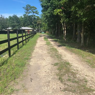 Walk the drive in Ponte Vedra near Nocatee or meet on the beach for walk and talk therapy in nature.