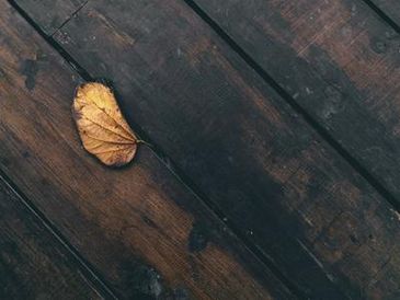 Close-up of dark wood deck with a yellow leaf.