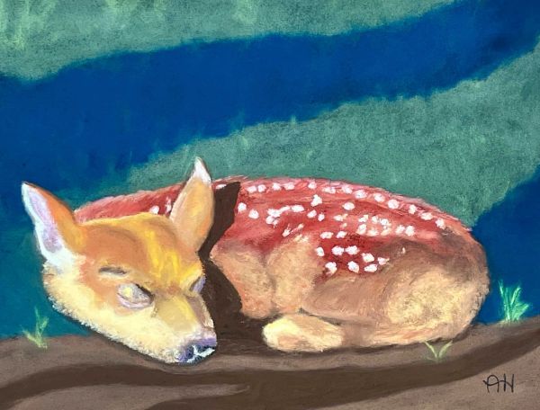 Painting titled "Sleeping Fawn" by Alisa Hasbrouck of Olympic Fine Art