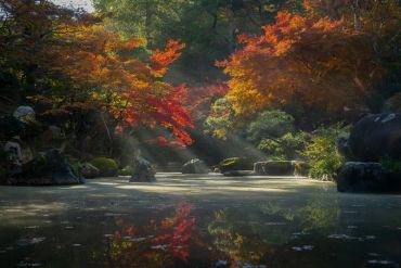 Autumn colors reflected in a serene pond surrounded by trees.