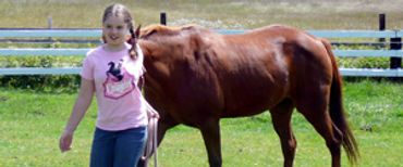 Day at a horse ranch
