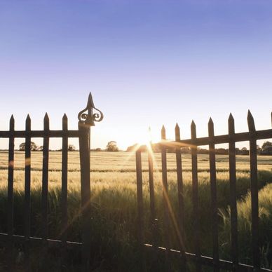 Land Access