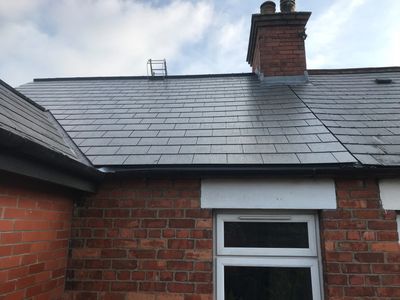 A roof Apex Roofing Solutions replaced in Belfast