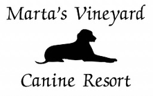 Marta's Vineyard 
Canine Resort