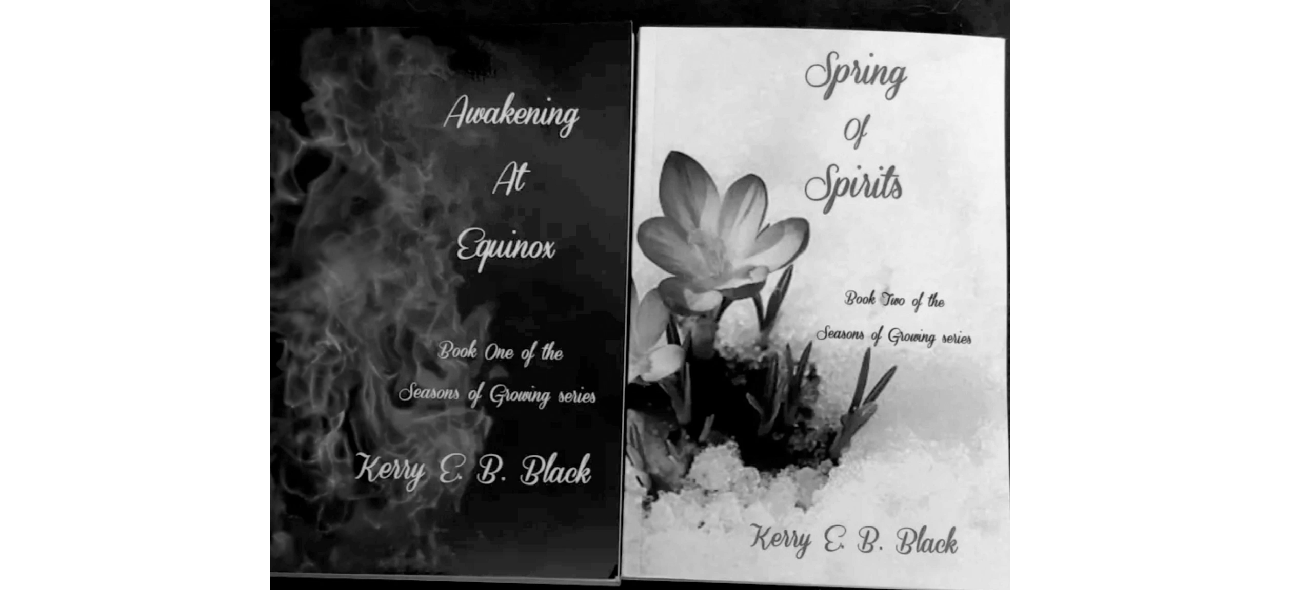 Awakening at Equinox Spring of Spirits
YA Paranormal Thriller
horror fiction doppelganger
novel