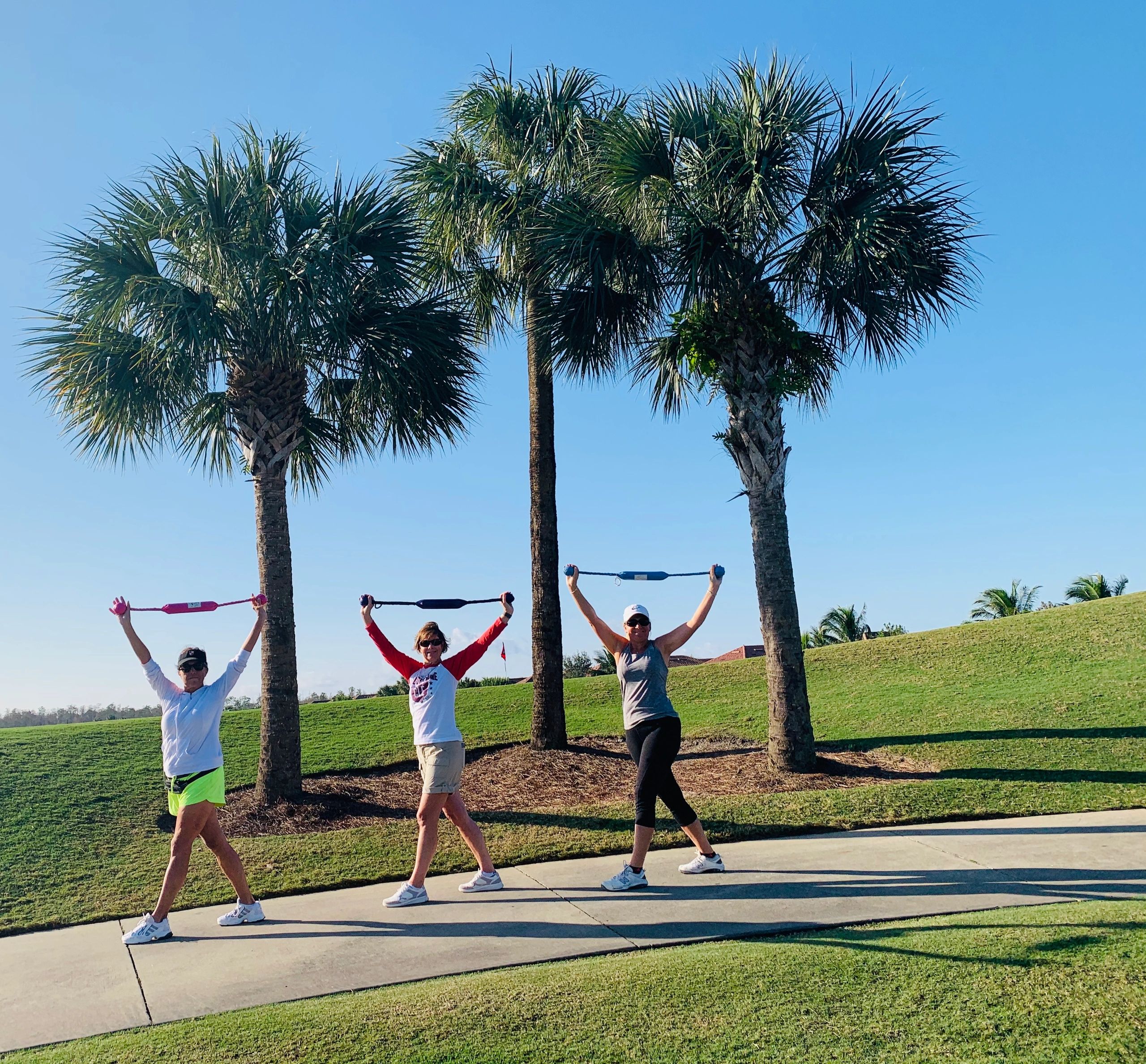 WalkerSizeR Class. Postures the upper body for faster fitness results while walking.