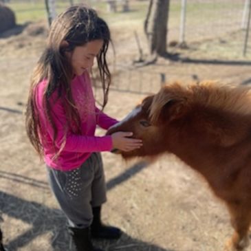 Girl gently petting a small brown pony outdoors.