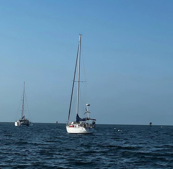Envolee moored at Dinner Key Coconut Grove