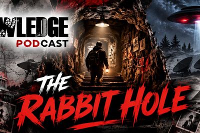 WELCOME TO THE RABBIT HOLE