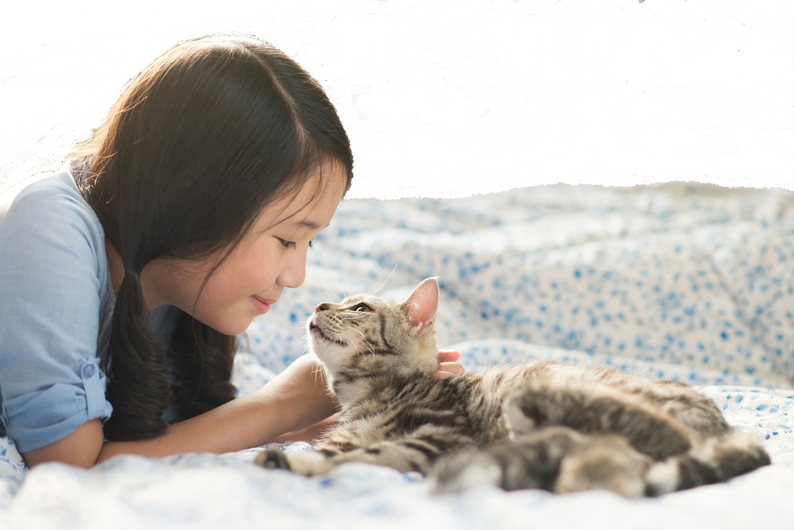 Consultants Animal Behavior Consultant Group