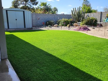 A backyard with an artificial grass installation by Tempe Turf Installers, cacti, and blue skies.