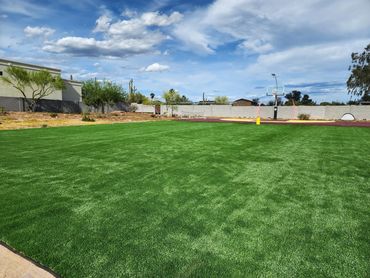 A commercial building with trees and an artificial turf installation by Tempe Turf Installers.