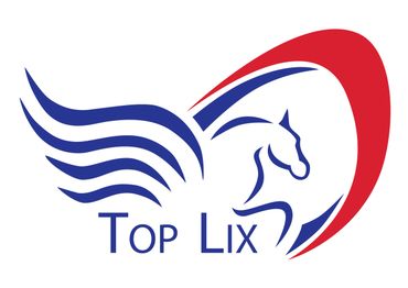 Top Lix logo