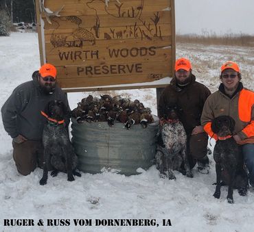 Ruger & Russ V Dornenberg