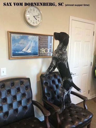 Is it time to go hunting?