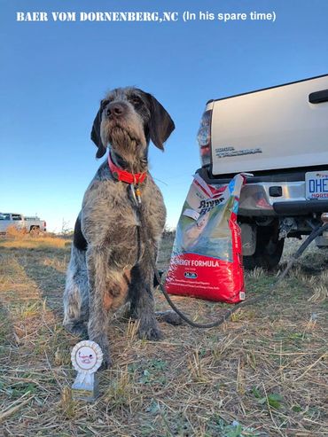 Baer  Vom Dornenberg