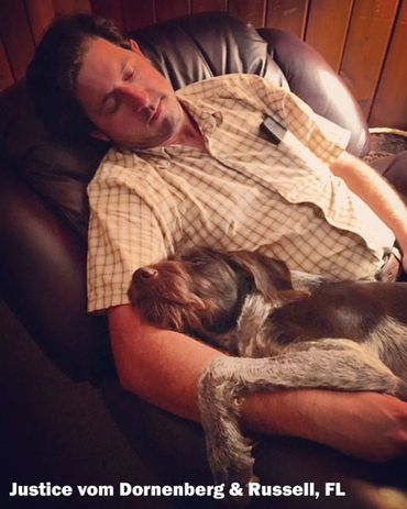 Justice taking a nap