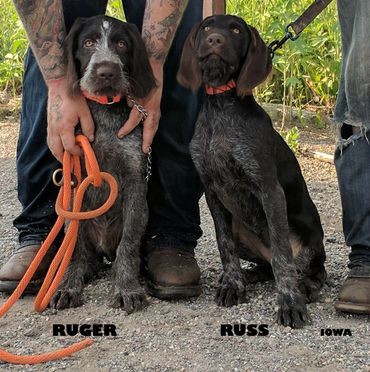 Brother & Sister in Iowa