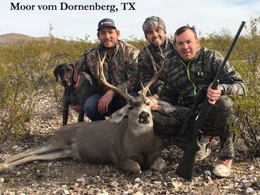 Moor & mule deer in Texas