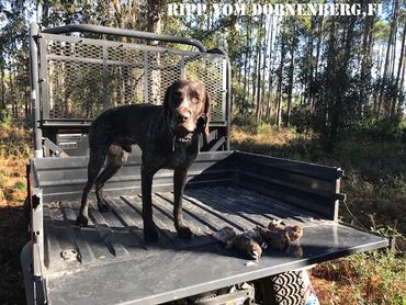 Another successful hunt