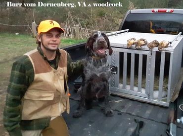 A great hunt with my Drahthaar