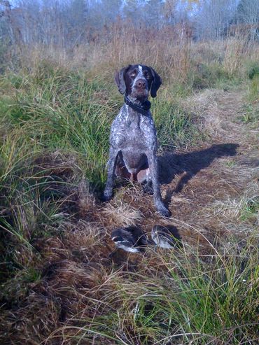 "Jackson" New Hampshire