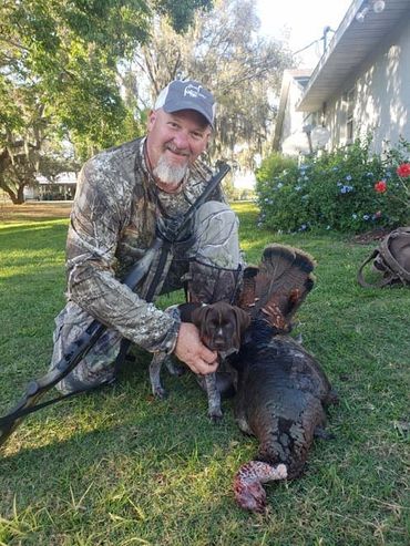 Our Drahthaars are bred to hunt