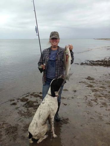 Our Drahthaars make great hunting companions.